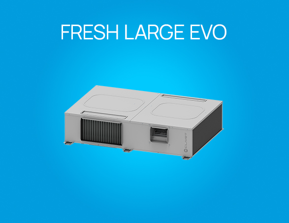 Fresh large evo